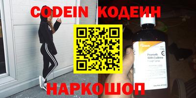 амф Кингисепп