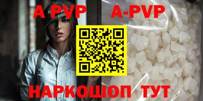 амф Кингисепп