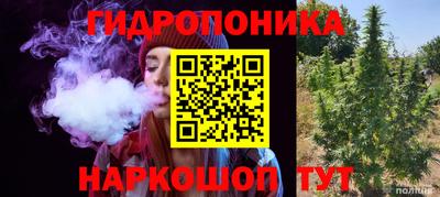 амф Кингисепп