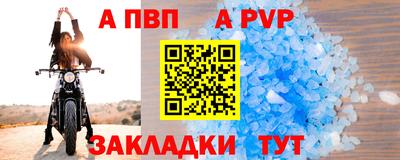 амф Кингисепп