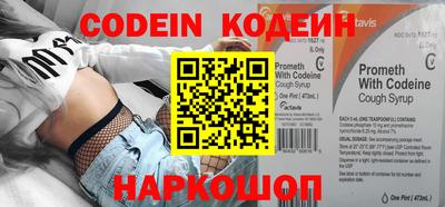 амф Кингисепп