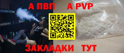 амф Кингисепп