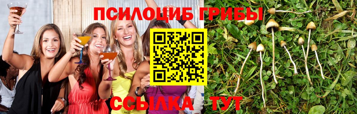 Псилоцибиновые грибы прущие грибы  Вход с VPN  Галлюциногенные грибы Psilocybine cubensis  дарнет шоп  Учалы 